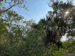 50530 BERMONT RD, PUNTA GORDA, FL — photo 17