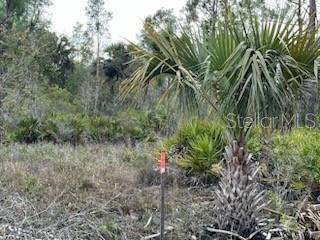 50530 BERMONT RD, PUNTA GORDA, FL — photo 18