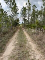 50530 BERMONT RD, PUNTA GORDA, FL — photo 19