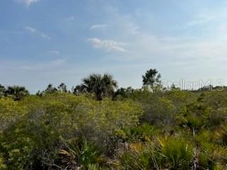 50530 BERMONT RD, PUNTA GORDA, FL — photo 21