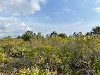 50530 BERMONT RD, PUNTA GORDA, FL — photo 22