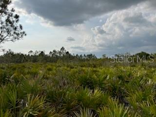 50530 BERMONT RD, PUNTA GORDA, FL — photo 23