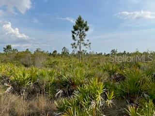 50530 BERMONT RD, PUNTA GORDA, FL — photo 24
