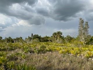 50530 BERMONT RD, PUNTA GORDA, FL — photo 26