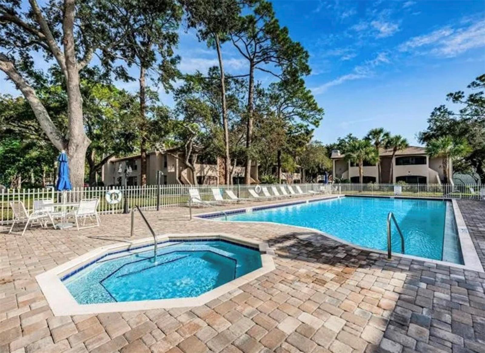 3024 BONAVENTURE CIR #204, PALM HARBOR, FL — photo 17