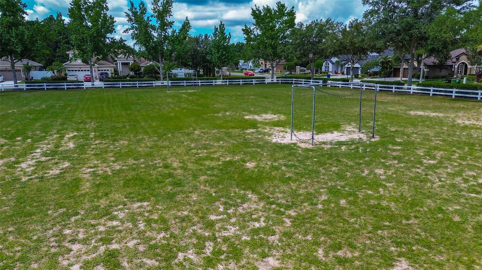 16730 FAIRBOLT WAY, ODESSA, FL — photo 58