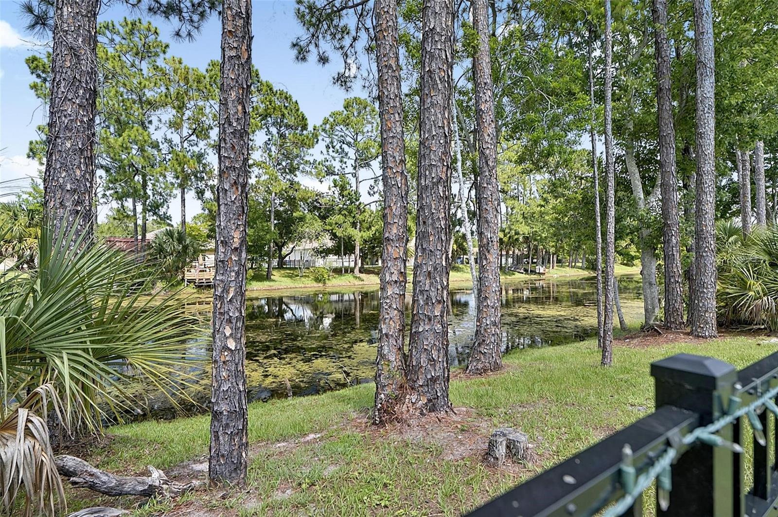 34 BUNKER HILL DR, PALM COAST, FL — photo 59