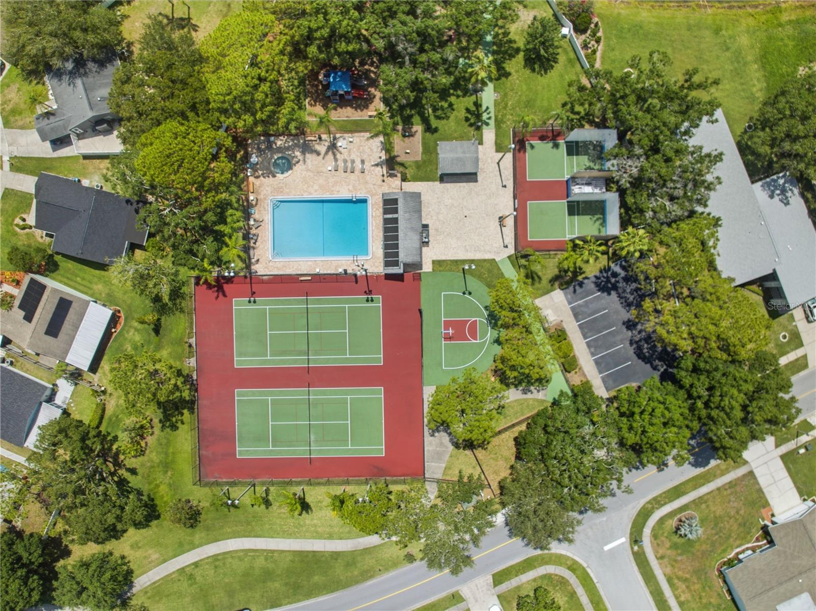 123 LOBLOLLY CT #B, OLDSMAR, FL — photo 2