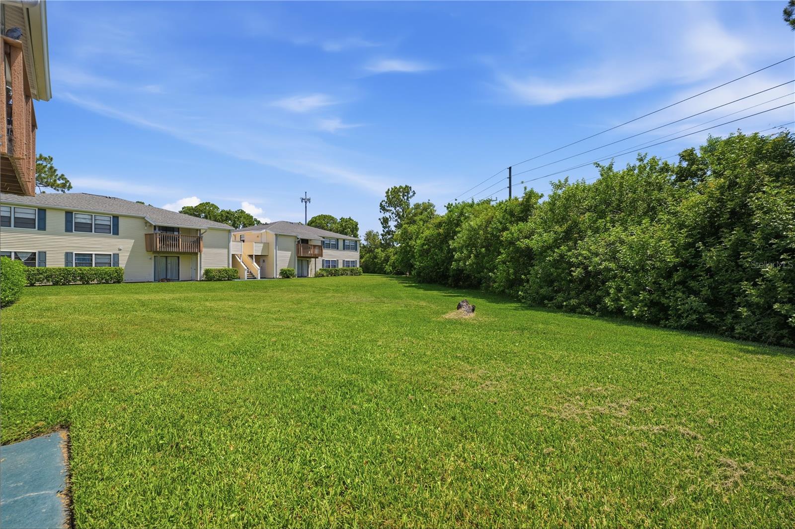 123 LOBLOLLY CT #B, OLDSMAR, FL — photo 26