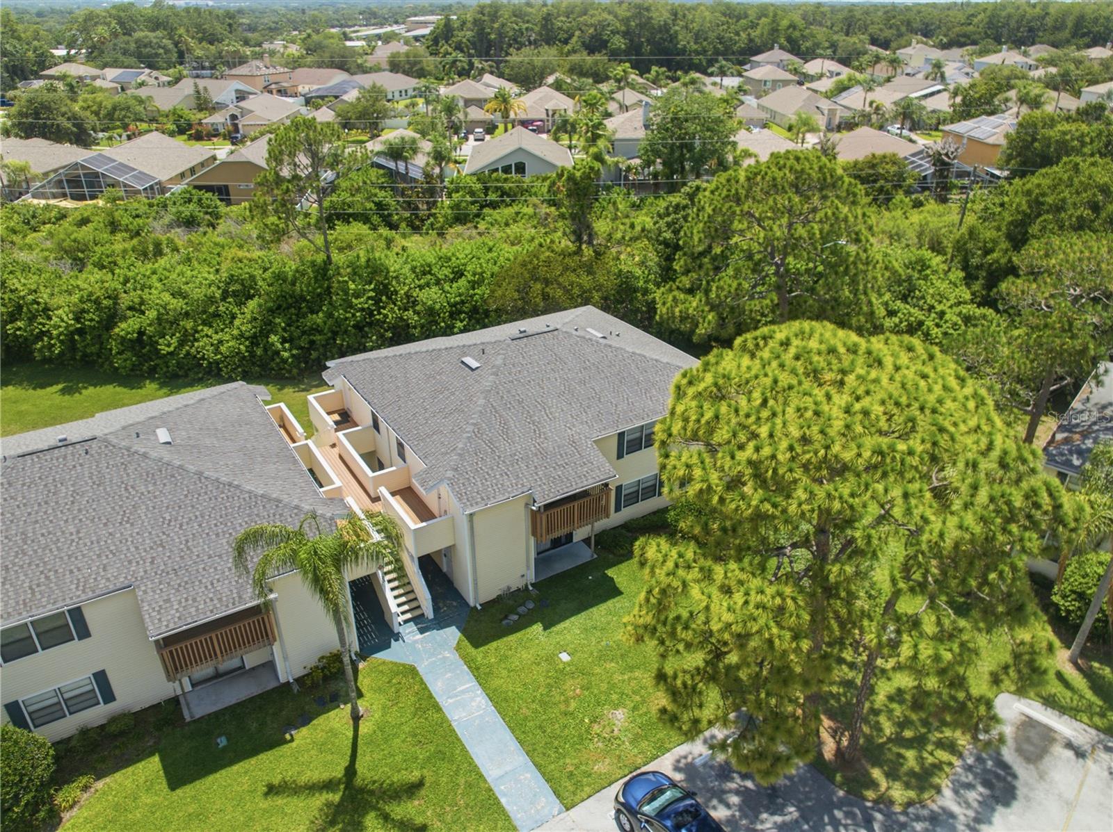 123 LOBLOLLY CT #B, OLDSMAR, FL — photo 28