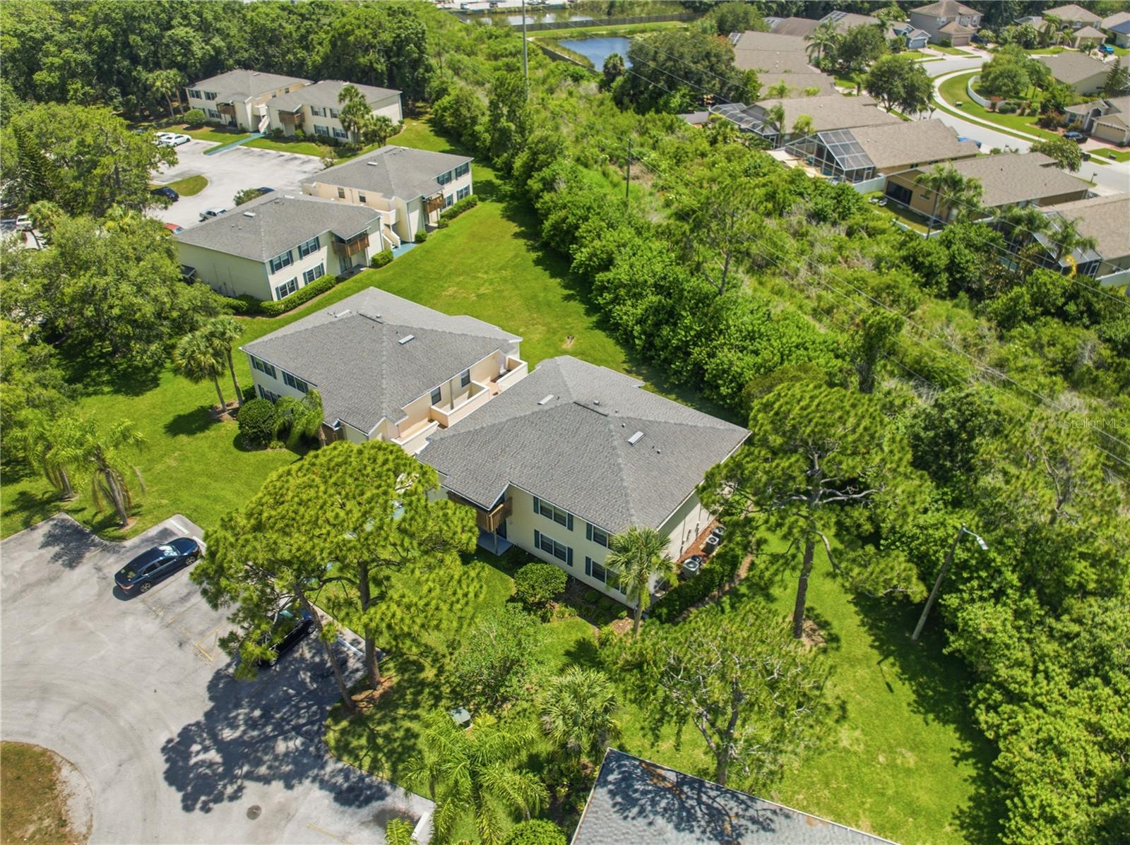 123 LOBLOLLY CT #B, OLDSMAR, FL — photo 30