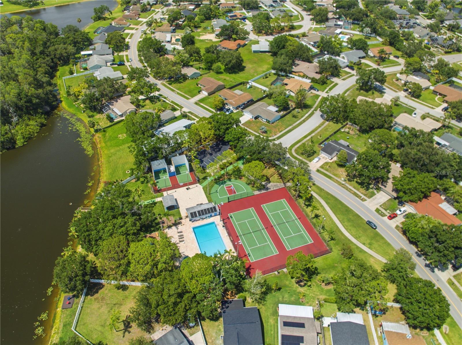 123 LOBLOLLY CT #B, OLDSMAR, FL — photo 32