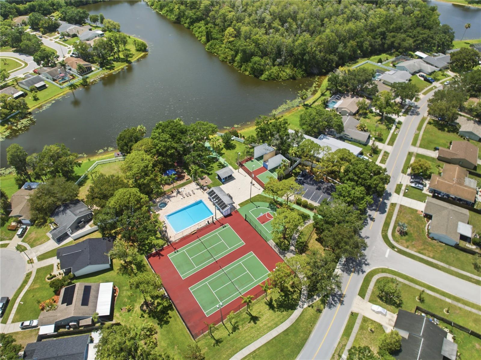 123 LOBLOLLY CT #B, OLDSMAR, FL — photo 34