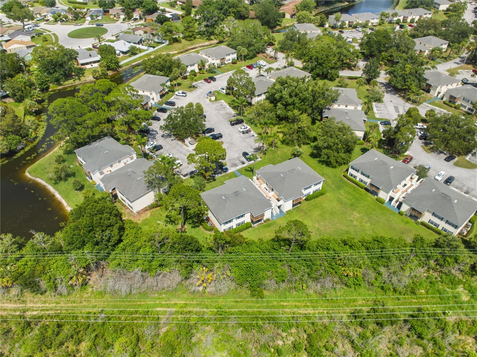 123 LOBLOLLY CT #B, OLDSMAR, FL — photo 37