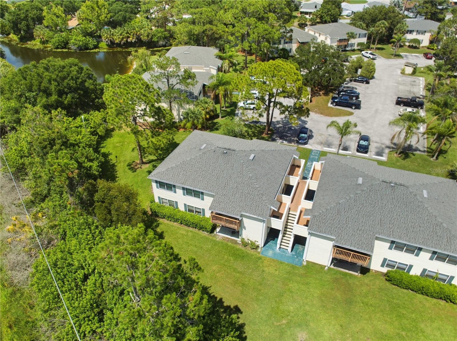 123 LOBLOLLY CT #B, OLDSMAR, FL — photo 38