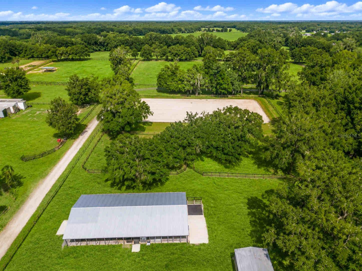 196 NW 100TH AVE, OCALA, FL — photo 12