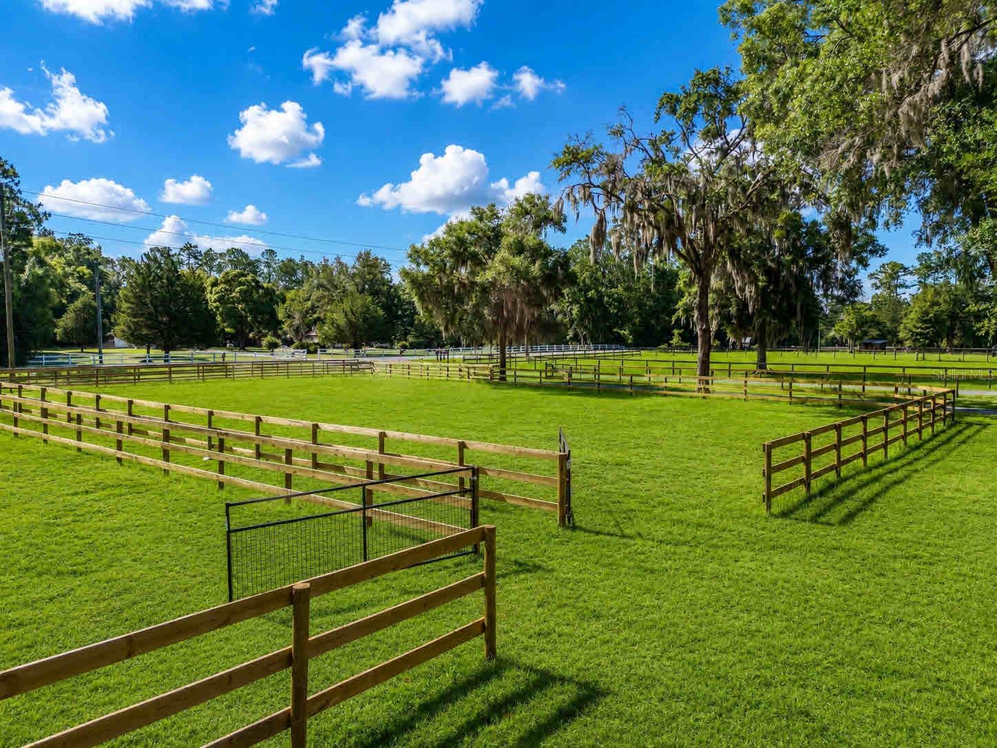 196 NW 100TH AVE, OCALA, FL — photo 15