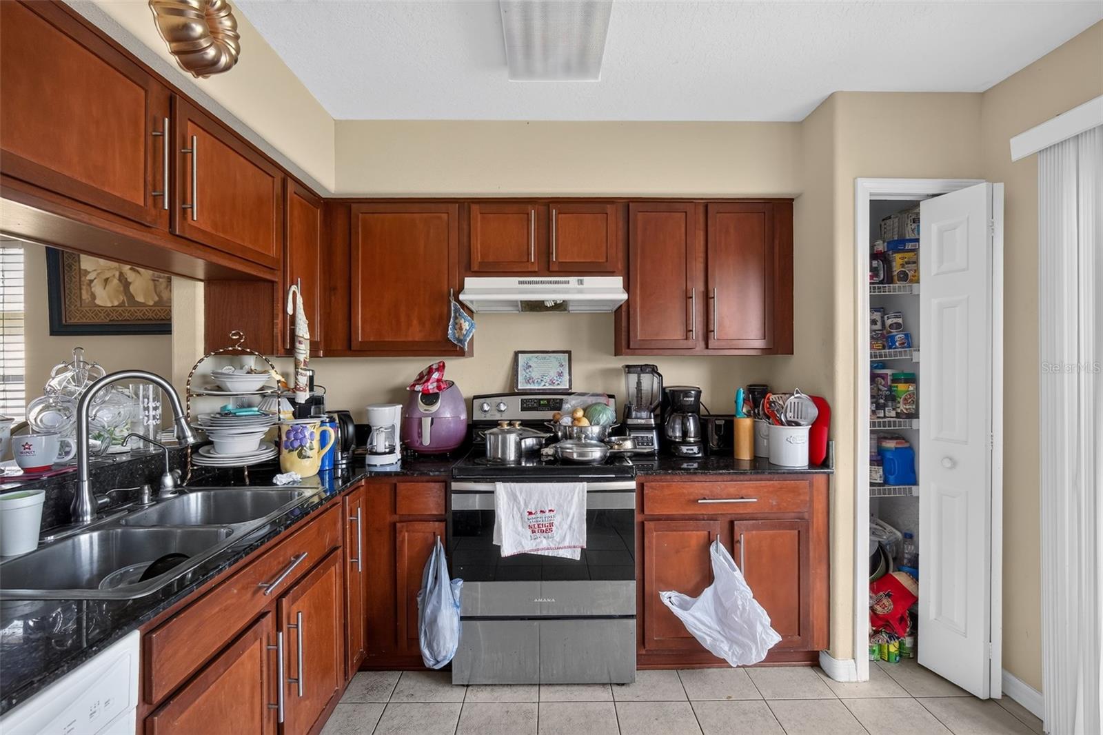 31417 TRIBOROUGH DR, WESLEY CHAPEL, FL — photo 8