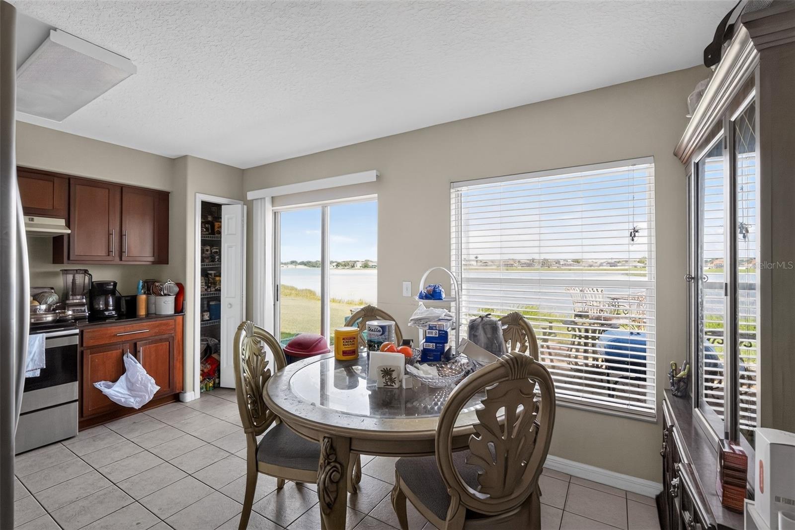 31417 TRIBOROUGH DR, WESLEY CHAPEL, FL — photo 9