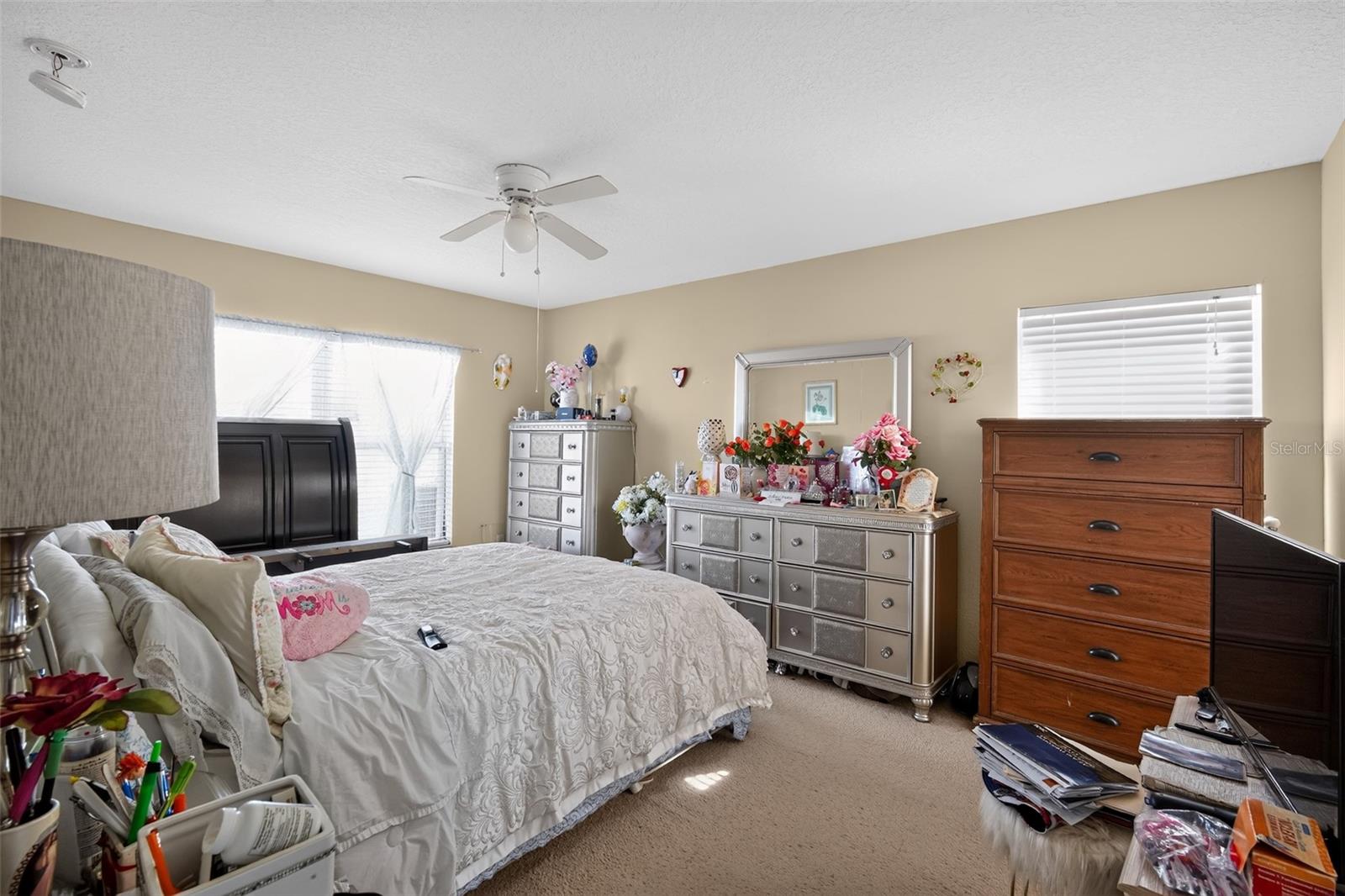31417 TRIBOROUGH DR, WESLEY CHAPEL, FL — photo 20