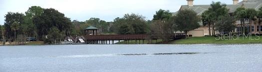 6552 MOORINGS POINT CIR #102, LAKEWOOD RANCH, FL — photo 50