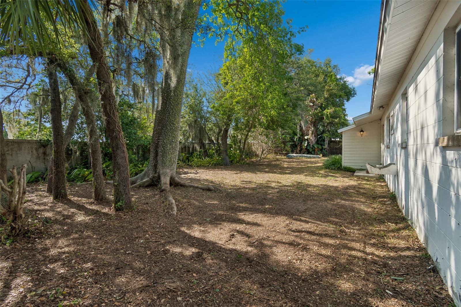 118 HORST RD, BRANDON, FL — photo 52