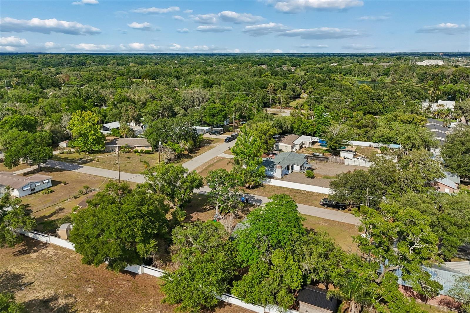 118 HORST RD, BRANDON, FL — photo 68
