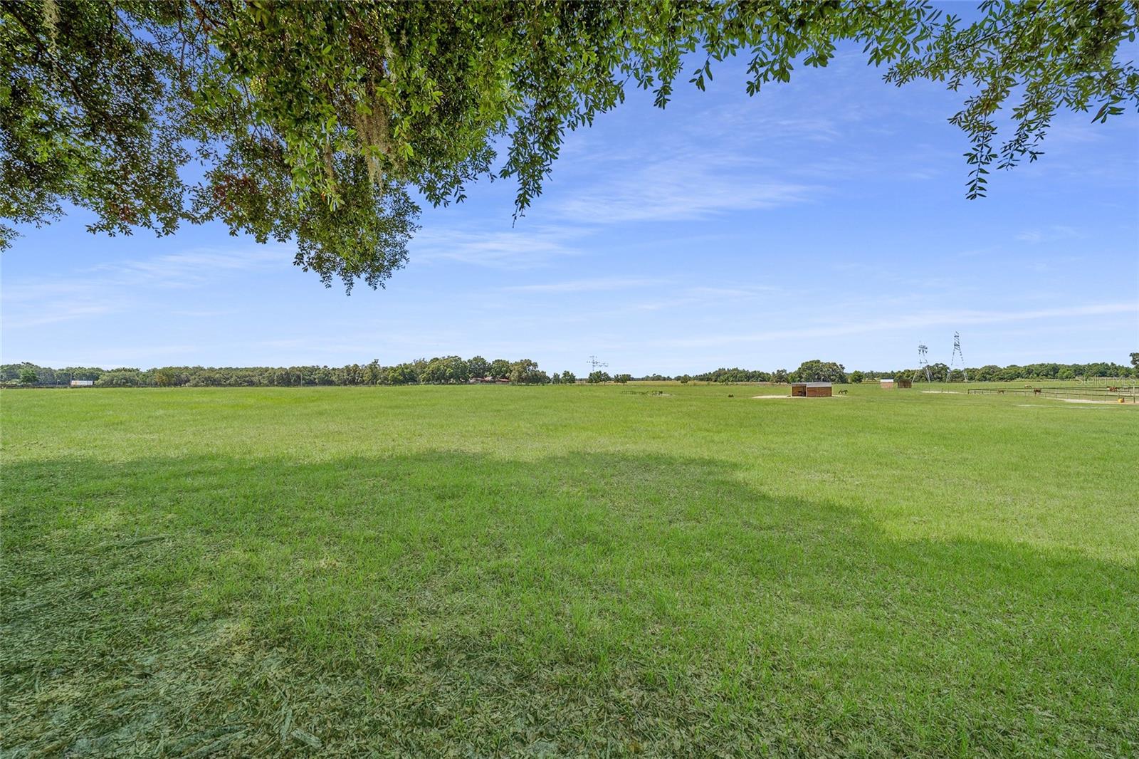 1231 NW 102ND BLVD, WILDWOOD, FL — photo 74