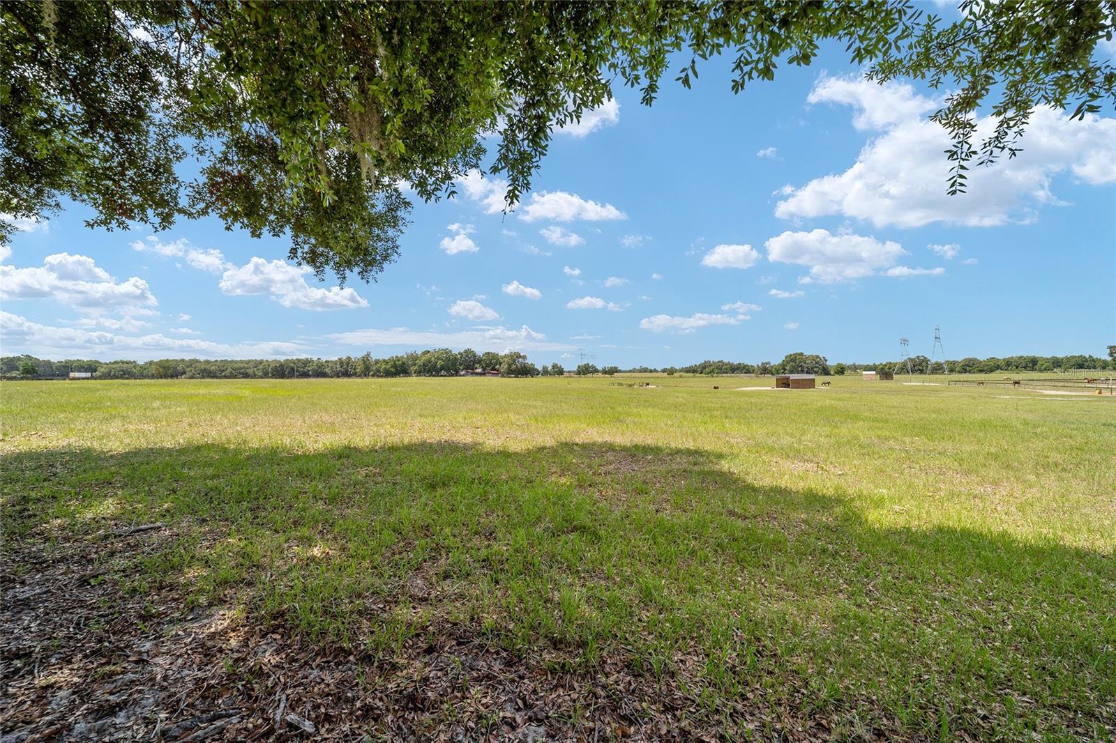 1231 NW 102ND BLVD, WILDWOOD, FL — photo 84
