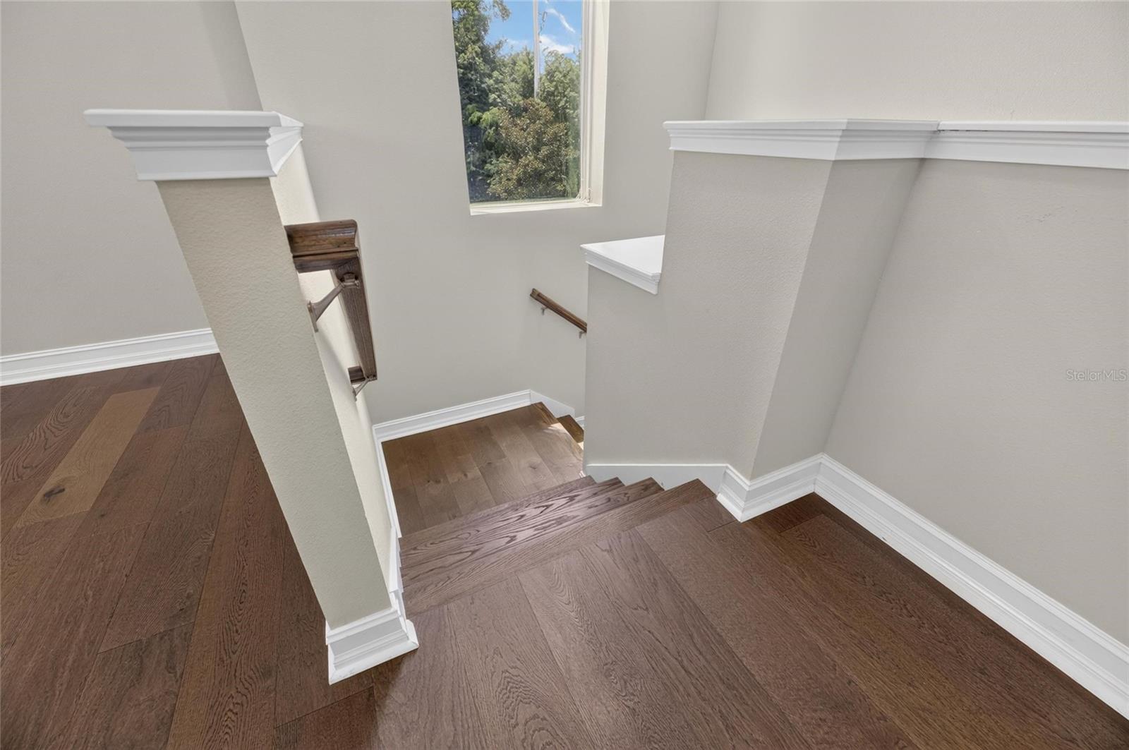 3506 WICKET FIELD RD, LUTZ, FL — photo 26