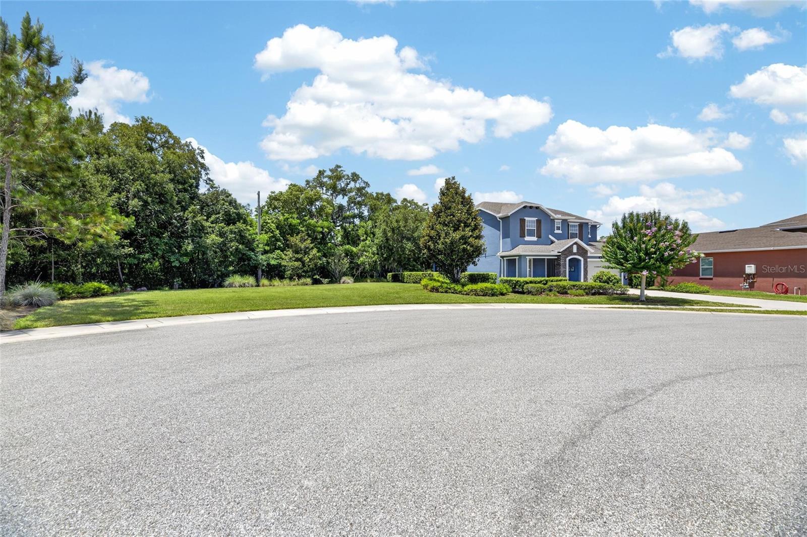 3506 WICKET FIELD RD, LUTZ, FL — photo 30