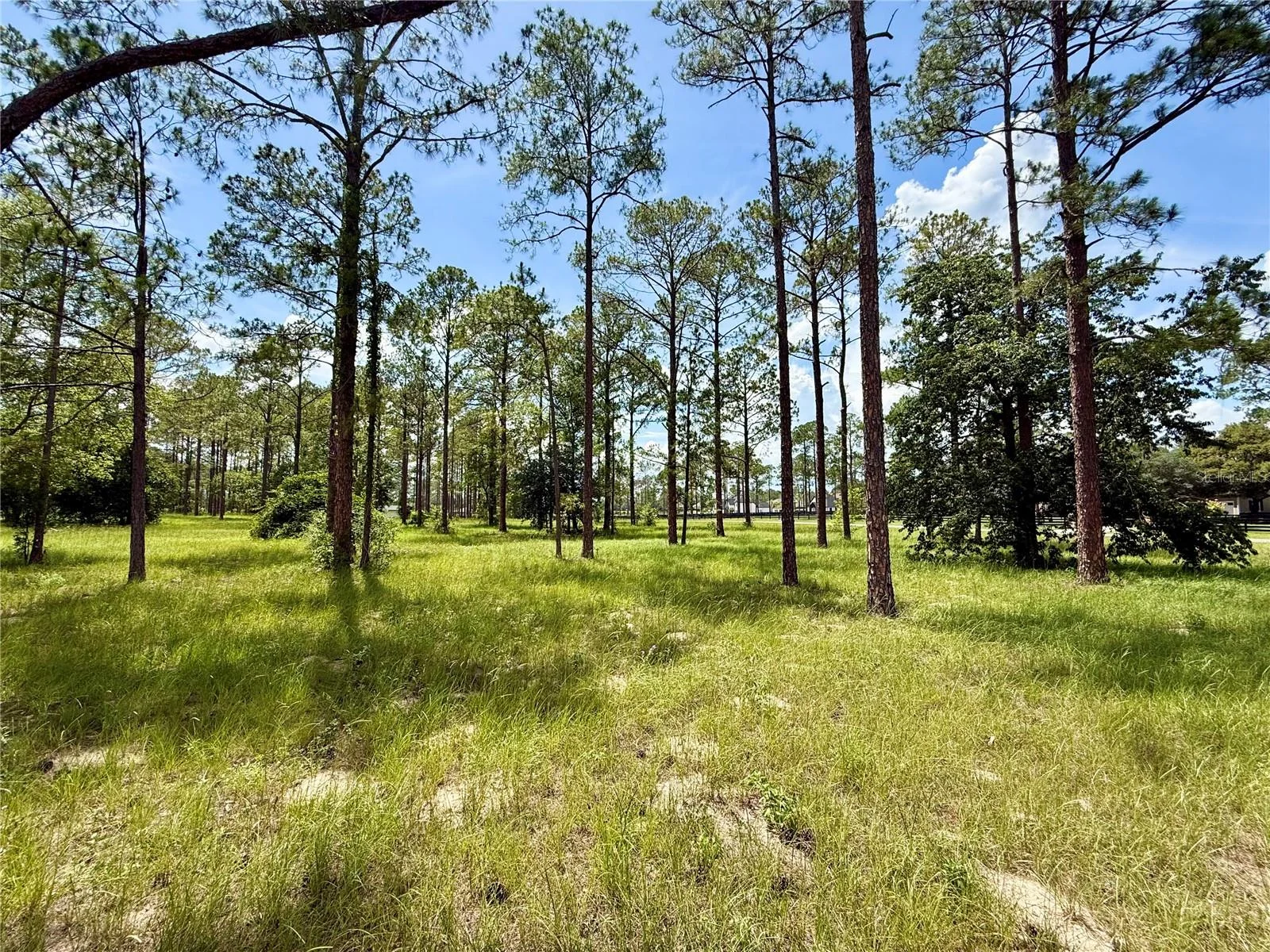 35135 PINEGATE TRL, EUSTIS, FL — photo 8