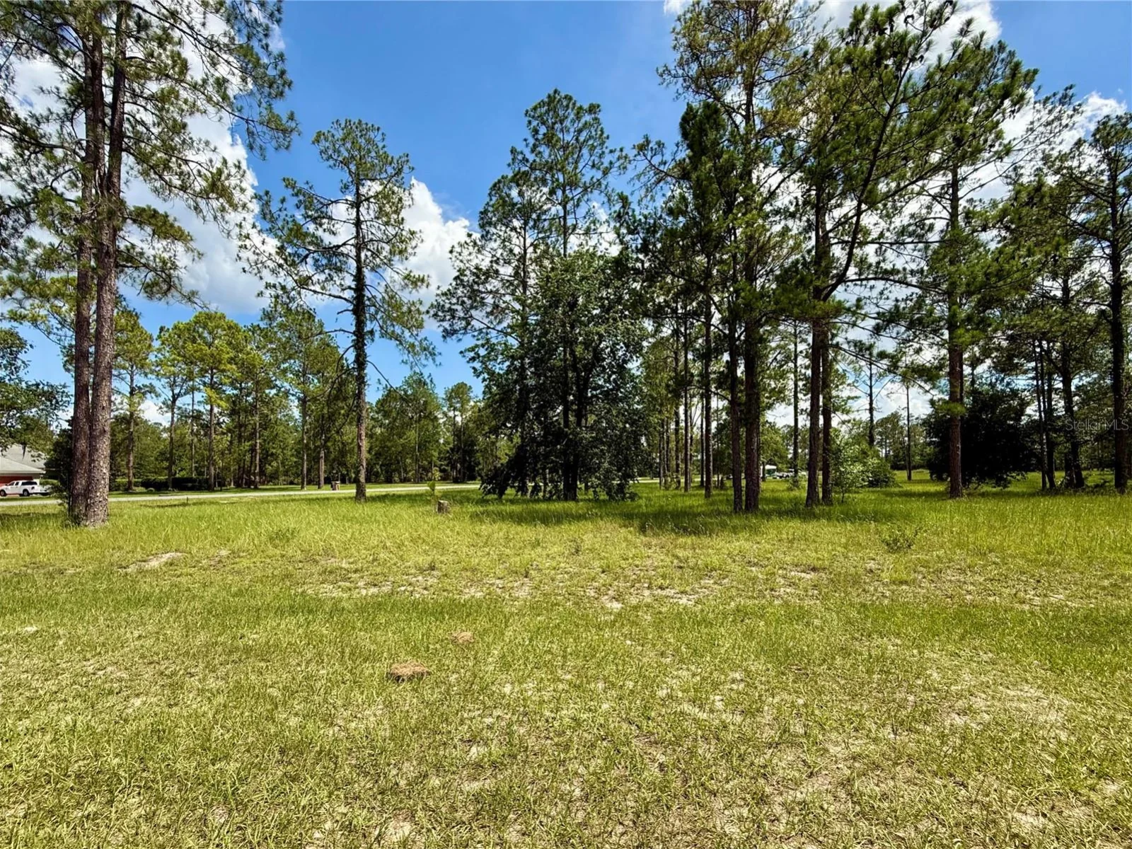 35135 PINEGATE TRL, EUSTIS, FL — photo 9
