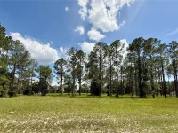 35135 PINEGATE TRL — photo 11