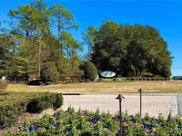 35135 PINEGATE TRL — photo 28