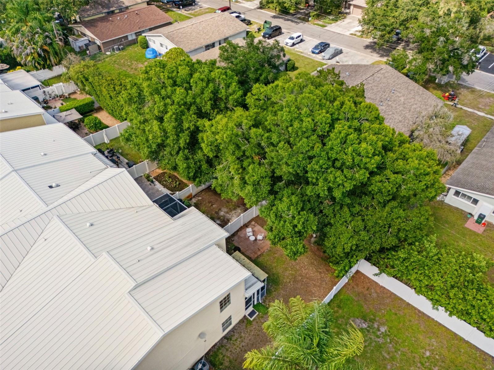 902 WOODBRIDGE CT, SAFETY HARBOR, FL — photo 50