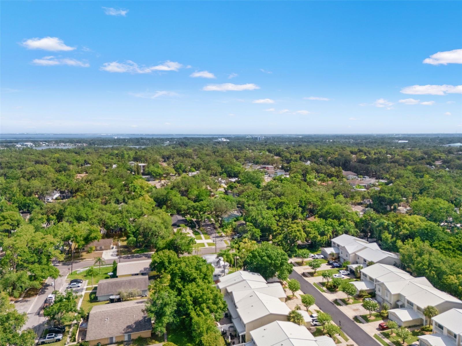 902 WOODBRIDGE CT, SAFETY HARBOR, FL — photo 52