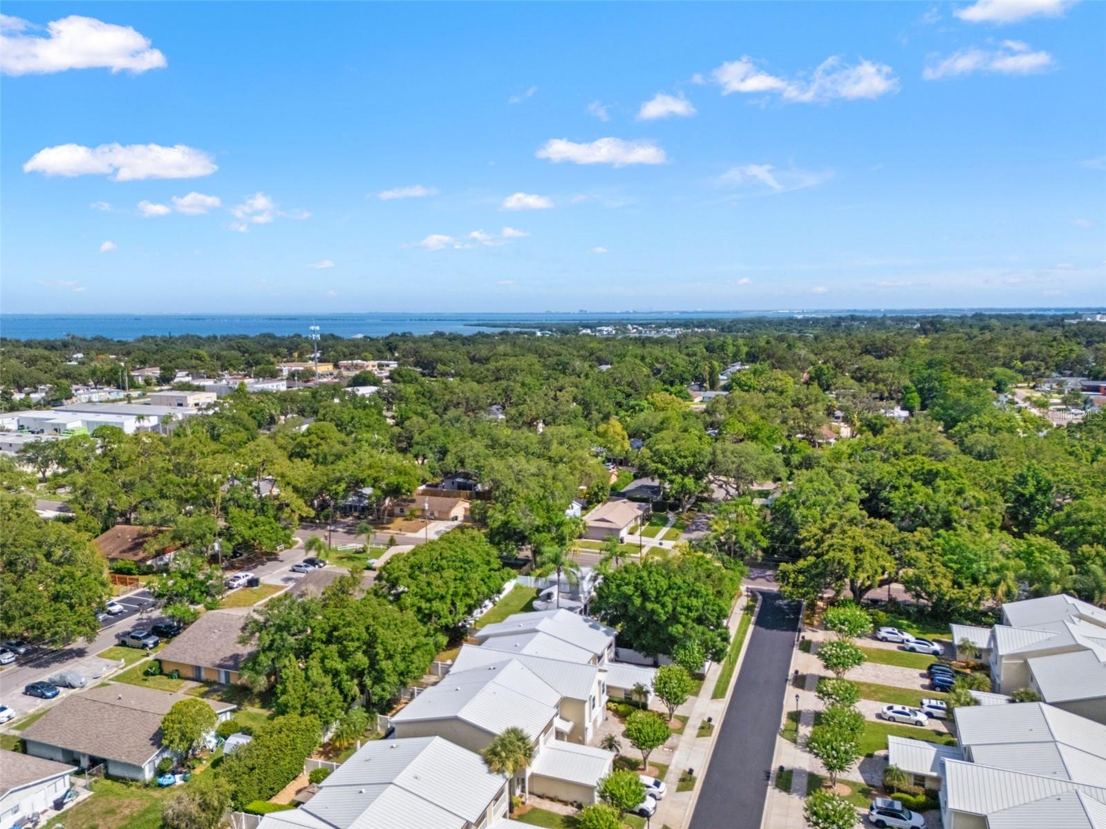 902 WOODBRIDGE CT, SAFETY HARBOR, FL — photo 53