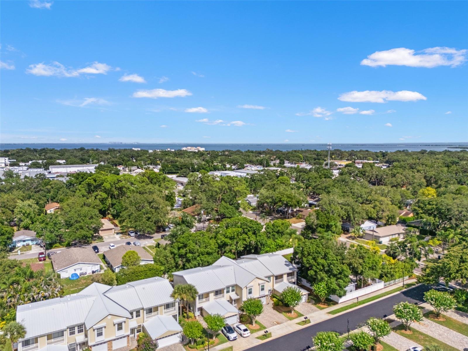 902 WOODBRIDGE CT, SAFETY HARBOR, FL — photo 54