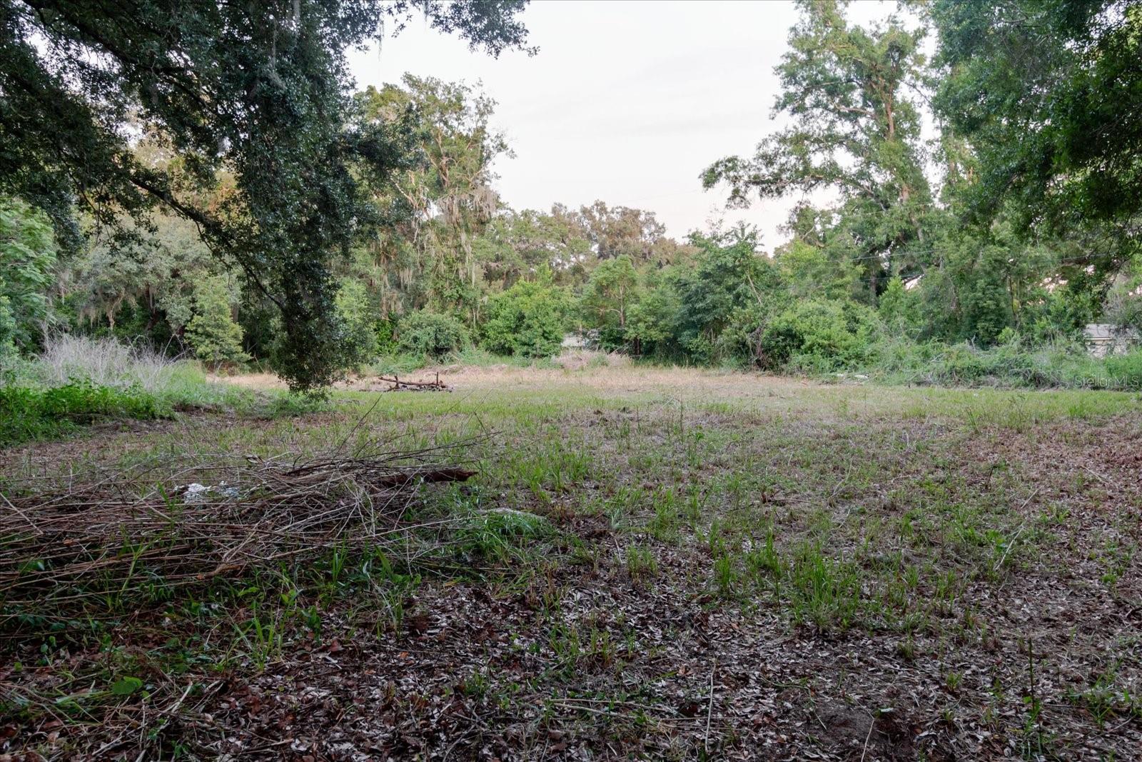 11152 GALAXY LN, THONOTOSASSA, FL