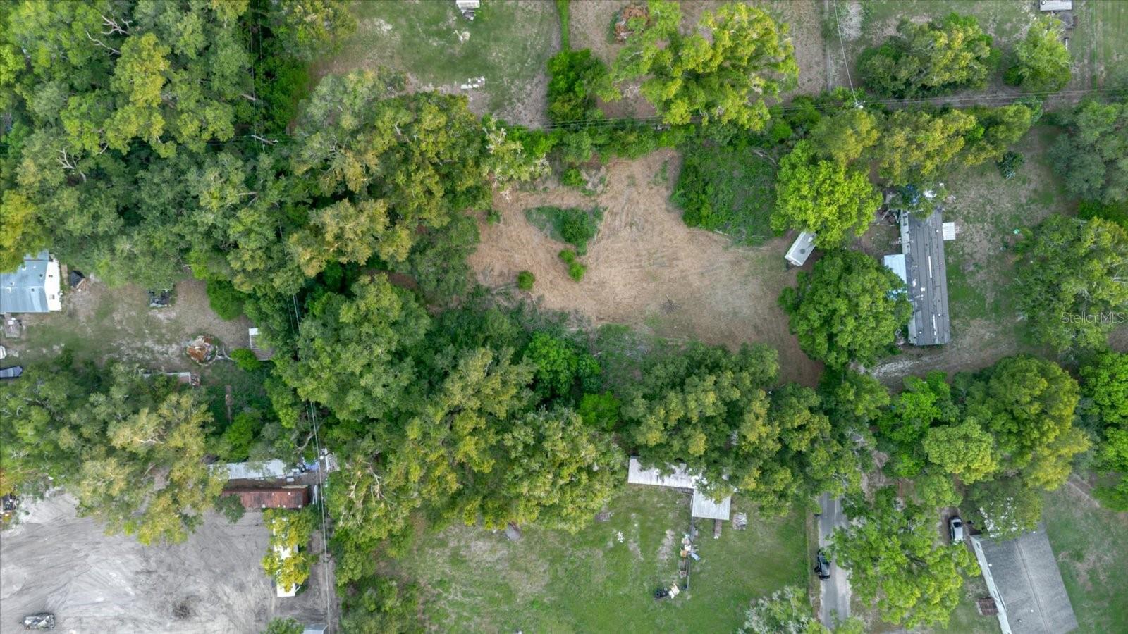 11152 GALAXY LN, THONOTOSASSA, FL — photo 8