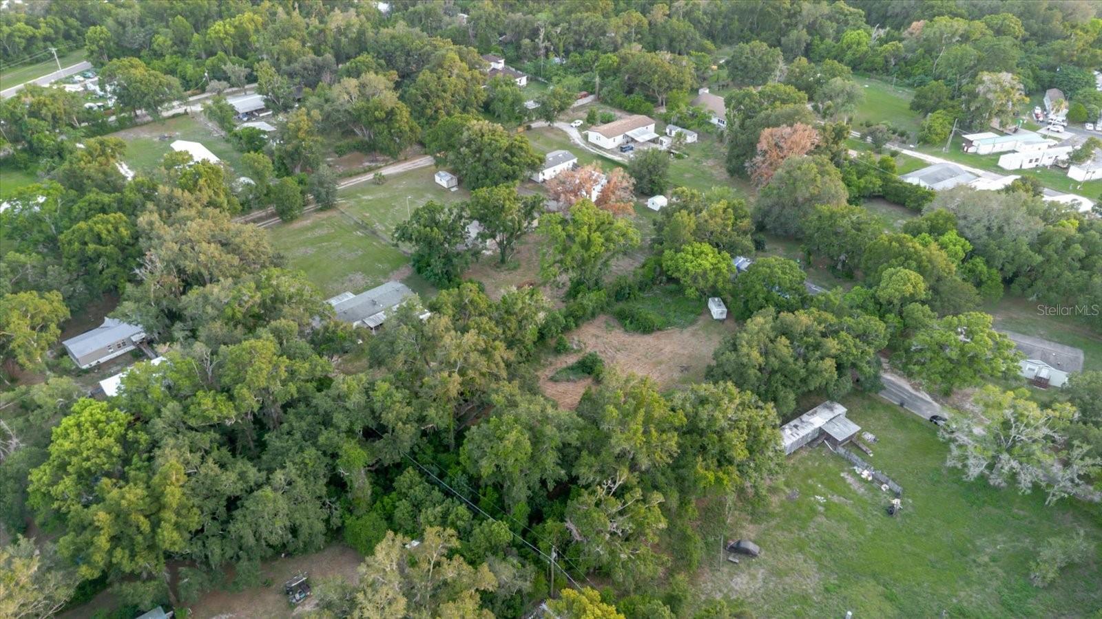 11152 GALAXY LN, THONOTOSASSA, FL — photo 14
