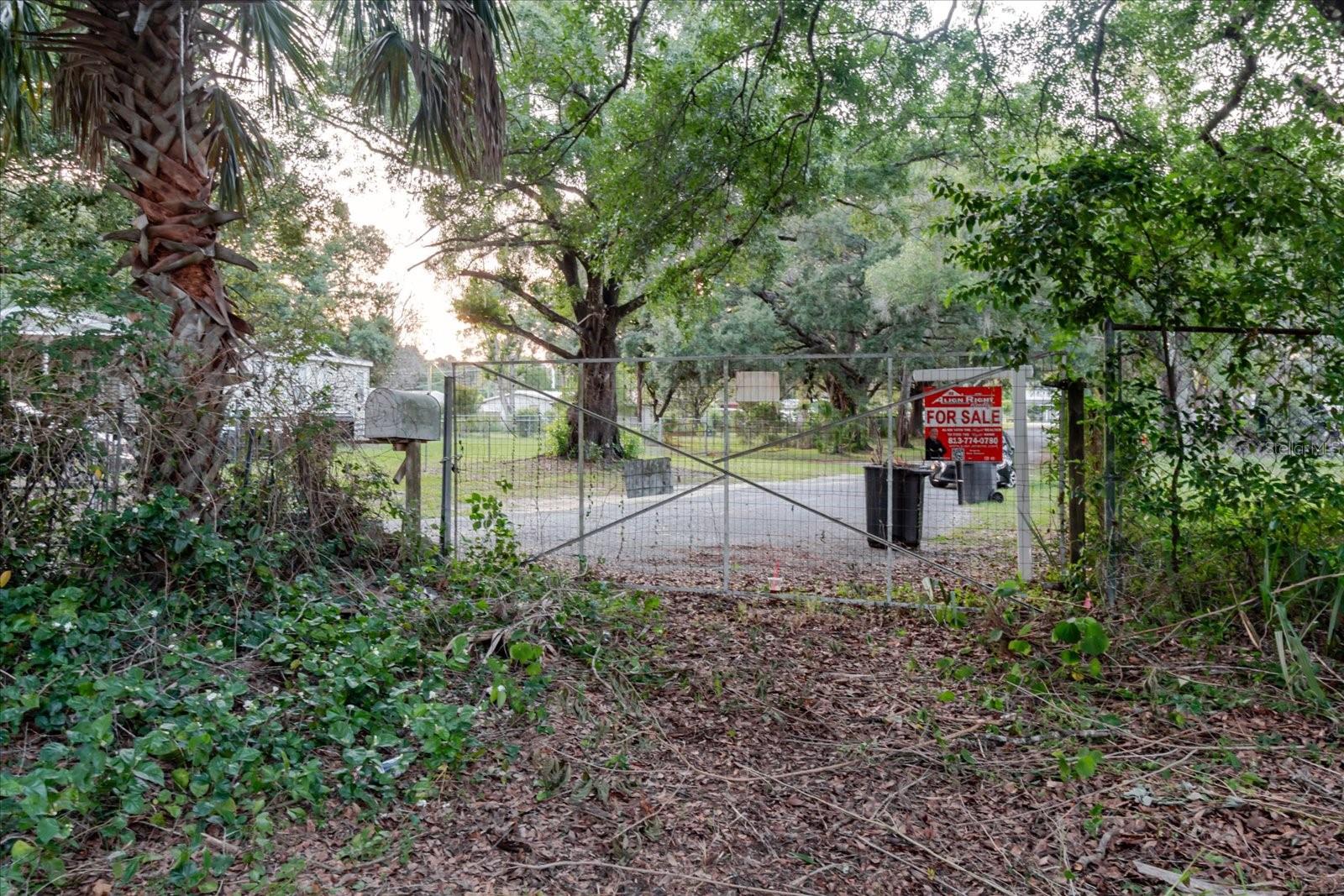11152 GALAXY LN, THONOTOSASSA, FL — photo 30