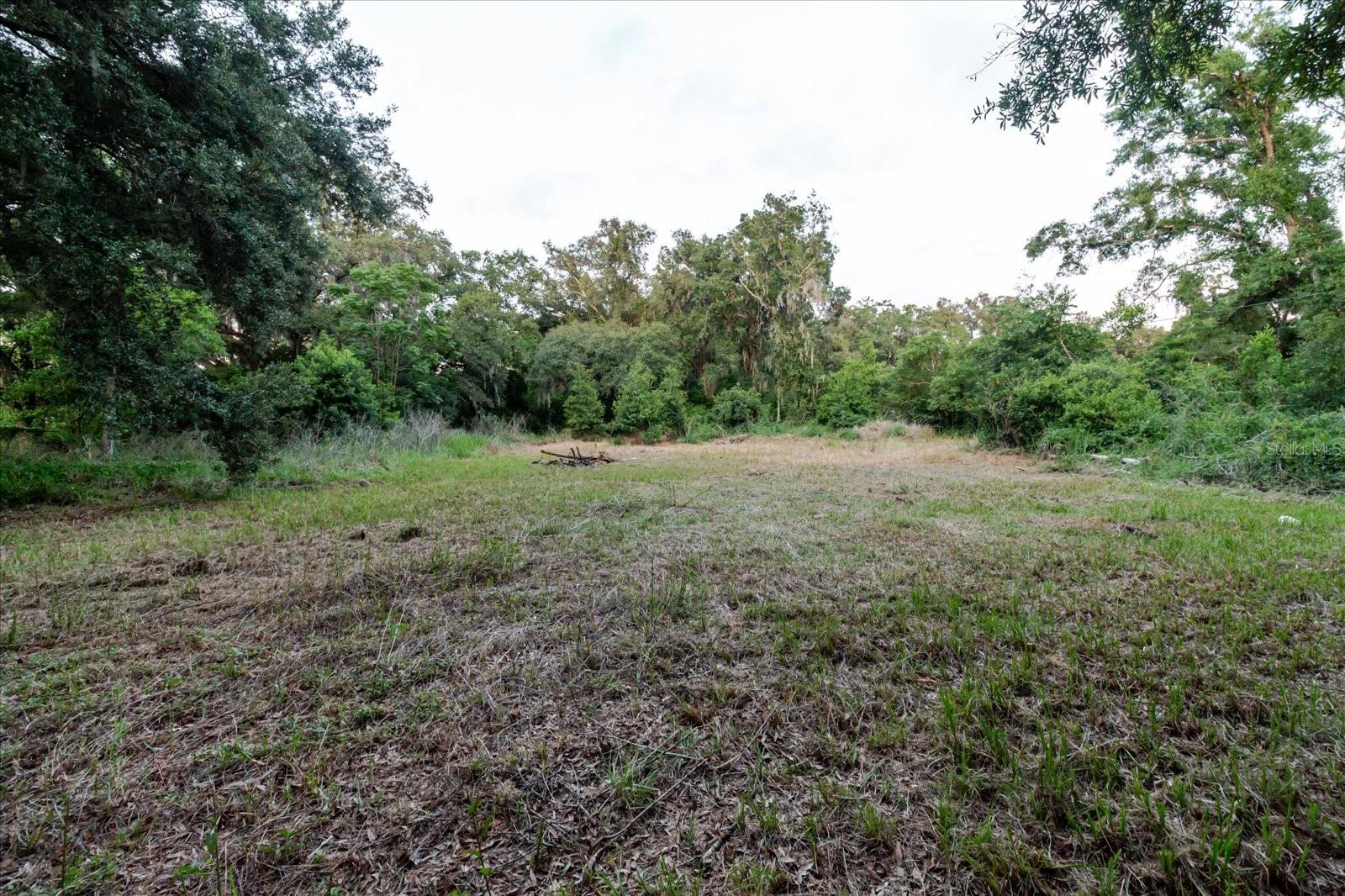 11152 GALAXY LN, THONOTOSASSA, FL — photo 33