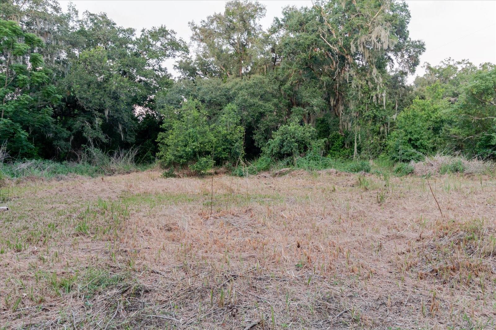 11152 GALAXY LN, THONOTOSASSA, FL — photo 35