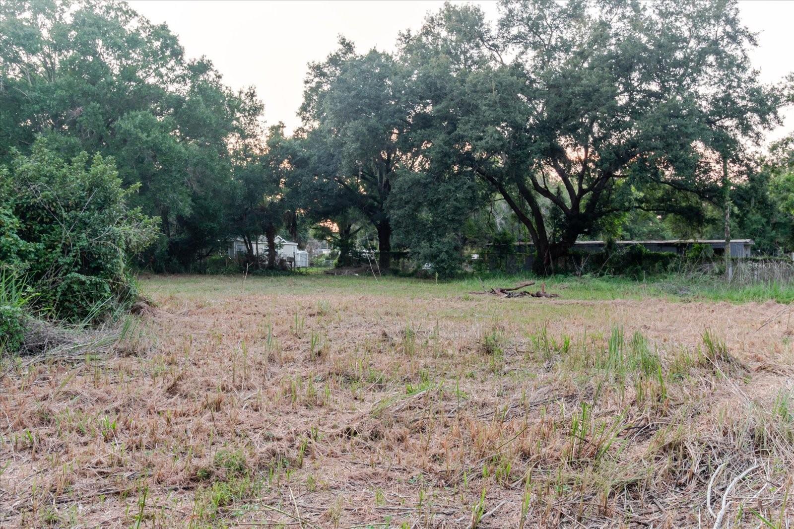 11152 GALAXY LN, THONOTOSASSA, FL — photo 36