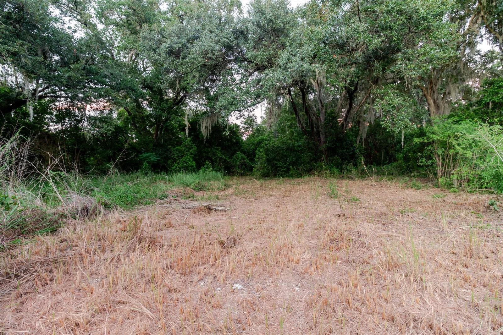 11152 GALAXY LN, THONOTOSASSA, FL — photo 38