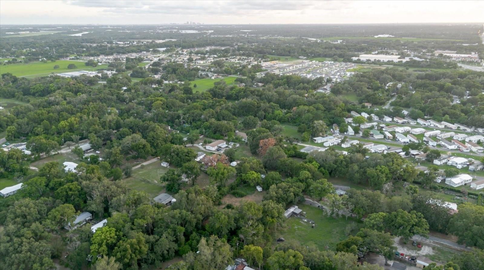 11152 GALAXY LN, THONOTOSASSA, FL — photo 44