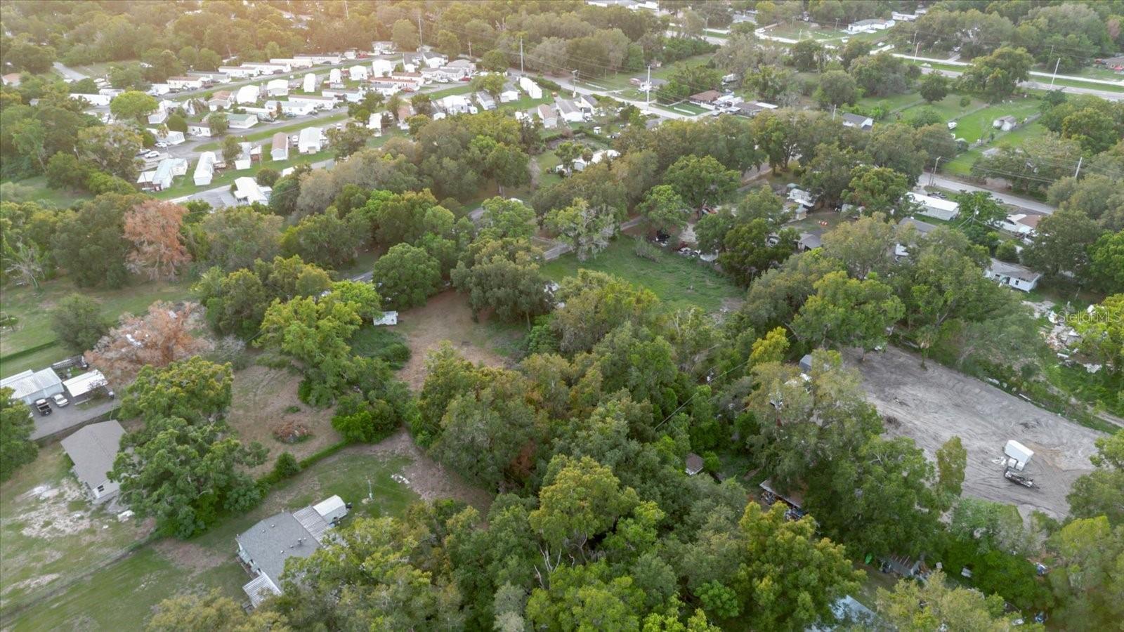 11152 GALAXY LN, THONOTOSASSA, FL — photo 50