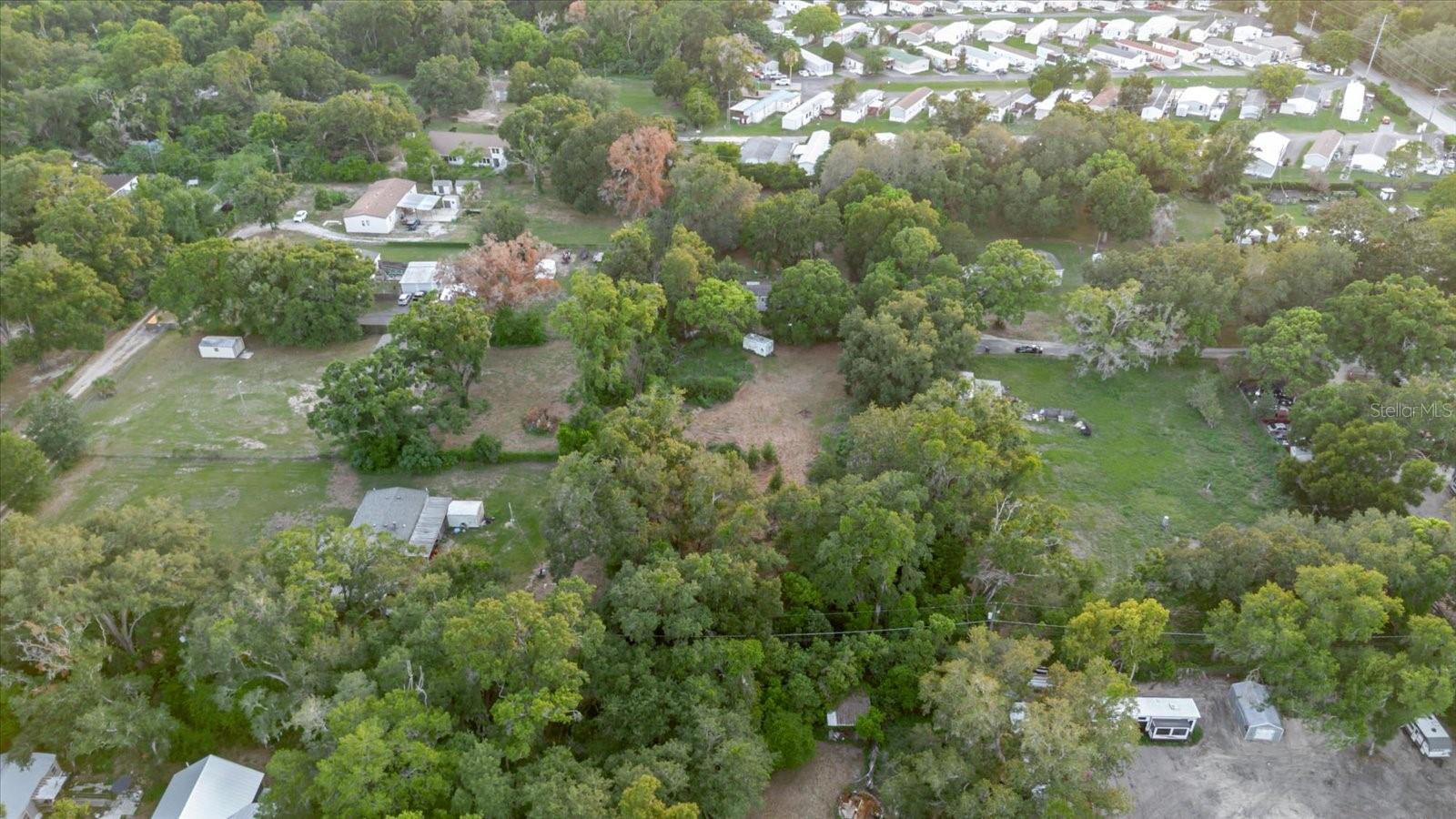 11152 GALAXY LN, THONOTOSASSA, FL — photo 53
